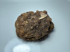 PEZZO MATRICE 0,51" CONTORTUS