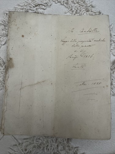 Manoscritto medicina xix - di,