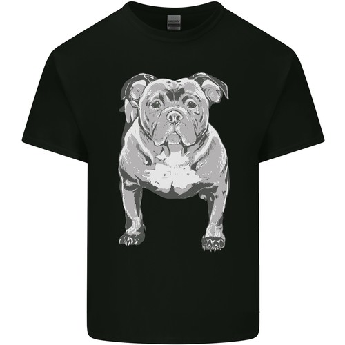 American bully posizione - american,