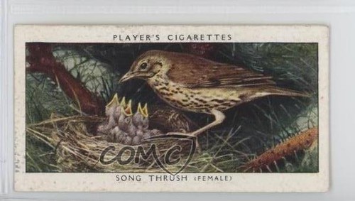 1937 player birds - 1937, &