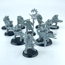 Neophyte Hybrids - Culti