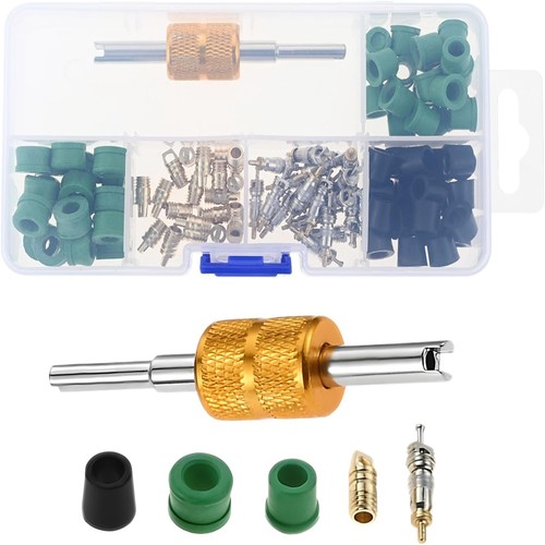 100 kit nucleo - 100,