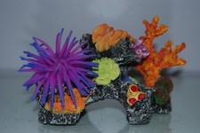 Acquario reef corallo - &,