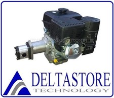 CENTRALINA MOTORE KOHLER 9,5HP CH395 AVV MANUALE CON POMPA GR2 A SCELTA LANTERNA