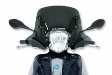 SPORT SCREEN CUPOLINO MALOSSI