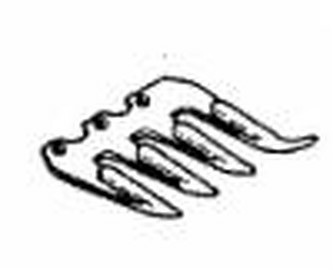 Dente quadruplo ricambio - dente,