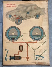 Poster Autoscuola "ORGANI DI