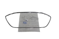 Telaio originale Ford griglia