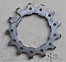 Rapporto 13 denti con