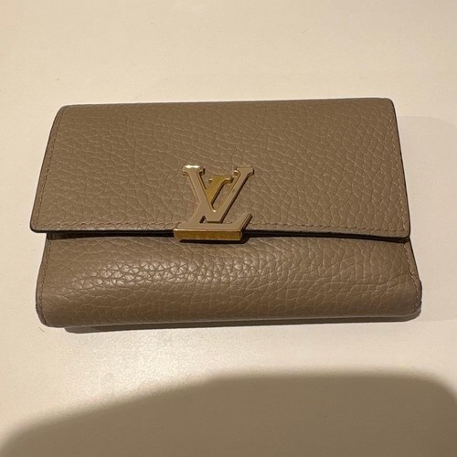 Louis vuitton tri - louis, wallet