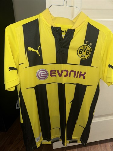 Borussia dortmund champions - dortmund,