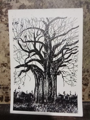 Rara cartolina mostra - rara,