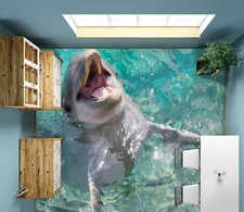 3D Dolphin Mouth FZ4842 Floor