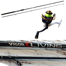 Canna pesca spinning con - pesca,