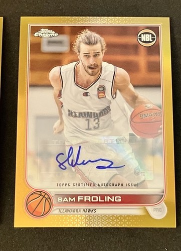 Sam froling illawarra hawks - illawarra,