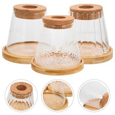 3 Sets Fioriera Terrario Piante Bottiglia Trasparente