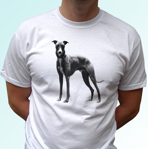 Shirt levriero cane - t-shirt,