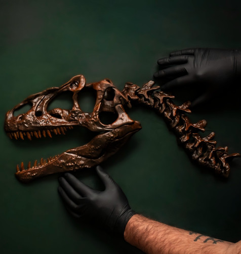 Allosaurus skull wall - allosaurus,