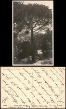 Cartolina Roma Il Colosseo dal