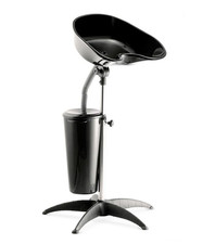 Lavatesta portatile per