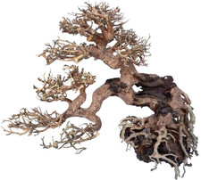 - Legno Oriental Wind 7, Fatto