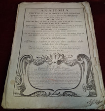 Genga Bernardino  Anatomia per