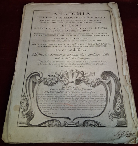 Genga bernardino anatomia - ,