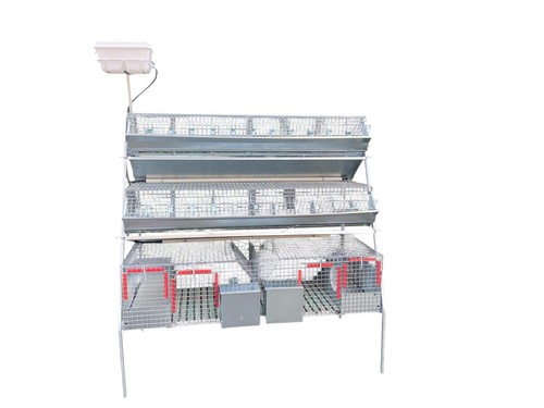 Gabbia conigli gm2 plus - conigli,