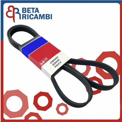 6pk975 cinghia servizi citroen - 6pk975,