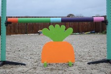 Carrot Show Jump Fillers -