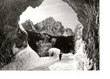 C . POSTALE - CARTOLINA