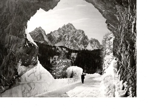 Postale cartolina - .,