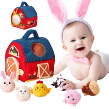 Baby Toy 6-12 Mesi,Montessori