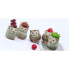  5 Pcs Mini Vasi Per Piante