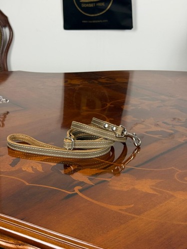 Set guinzaglio collare per - guinzaglio, e