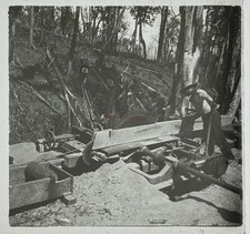 Chili America Del Sud Foresta Boscaiolo C1906 Foto Vetro Stereo Vintage §310