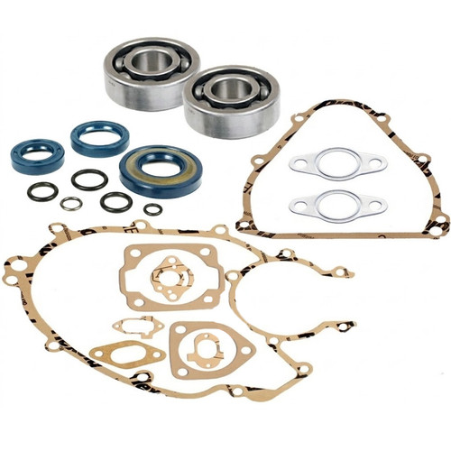 Kit cuscinetti albero skf - albero,