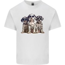 3 Cool Cuccioli Dalmata