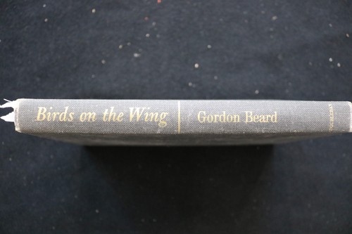 1967 birds athe wing - 1967,