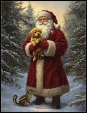 Babbo Natale Artico 16 -