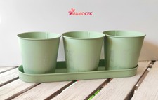 PORTAVASO Set 4 pz latta verde salvia cm. 32x10h11 floreale giardino shabby chic