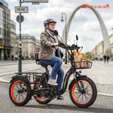 Bici Elettrica Pieghevole 750W
