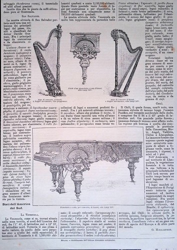 Stampa del 1889 disegni - stampa,