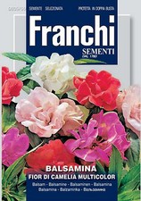 30 Semi BALSAMINA Fior Di