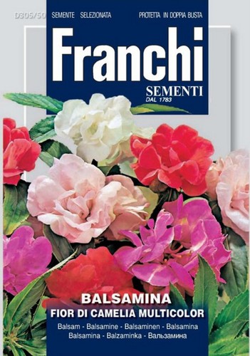 Semi balsamina fior di - 30,