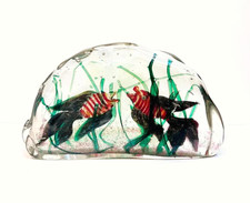 Acquario vintage in vetro di