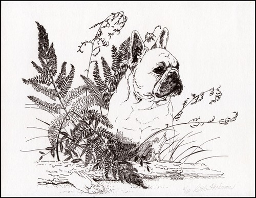 French bulldog dog fine - french, art