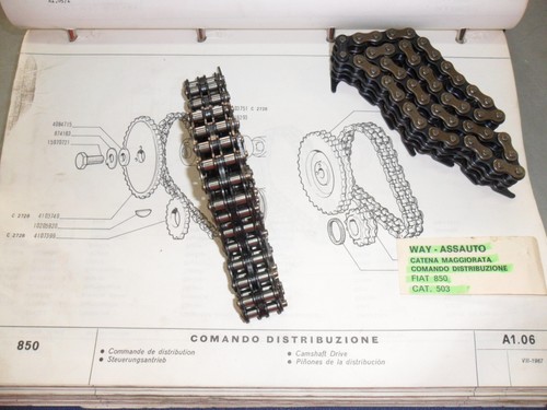 Catena distribuzione - catena,