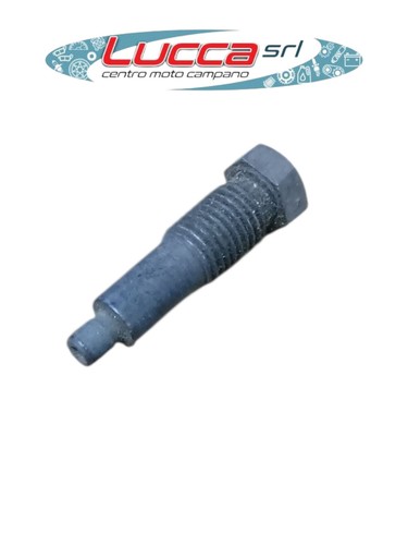 098787 perno forcella comando - 098787,