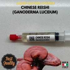 Reishi Cinese Coltura Liquida